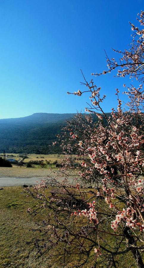 Auberge Collective Cozy&Family La Palud-sur-Verdon Eksteriør billede